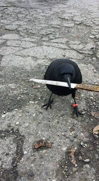 Pazartesiye özel bomba fotoğraflar