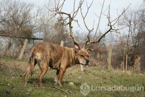 Dönüp tekrar bakmak isteyeceğiniz fotoğraflar