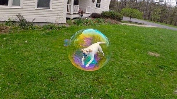 Dönüp tekrar bakmak isteyeceğiniz fotoğraflar