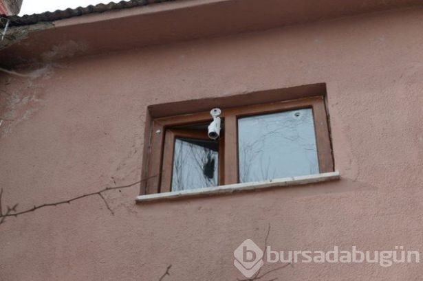 Van'da öldürülen 12 PKK'lı dağ kadrosundan