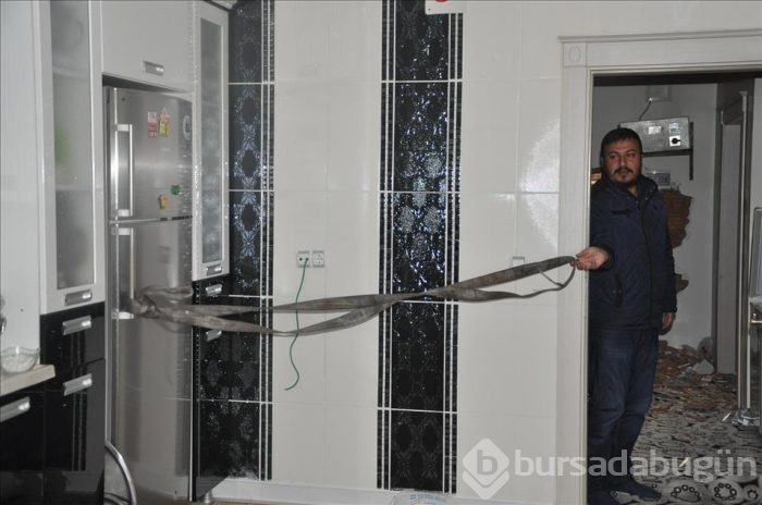 Silopi'de sokağa çıkma yasağının kaldırılması
