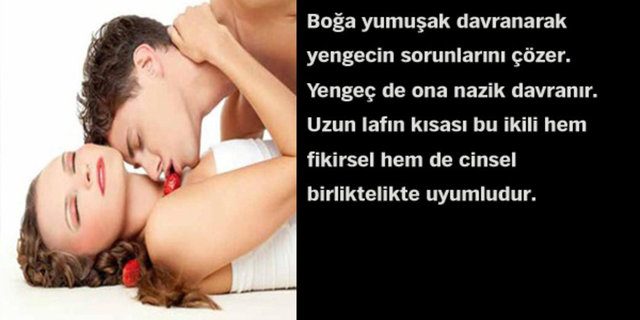 Astrolojik cinsel çekim raporunuz!