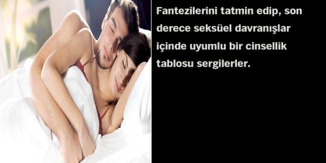 Astrolojik cinsel çekim raporunuz!