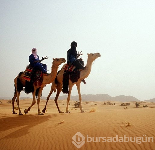 Burada her şey çok farklı
