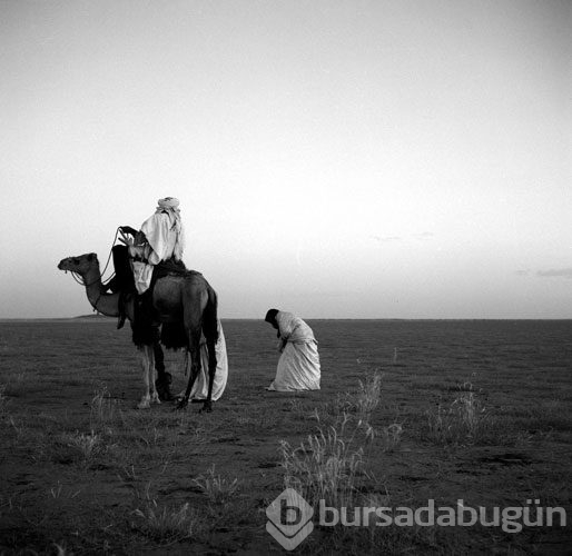 Burada her şey çok farklı
