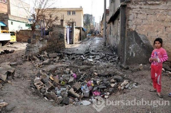 Silopi'de yasağın ardından acı tablo!