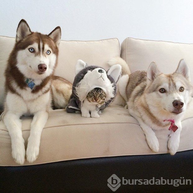 6 ayda aile oldular