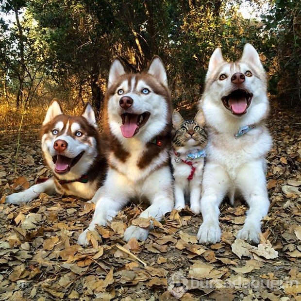 6 ayda aile oldular