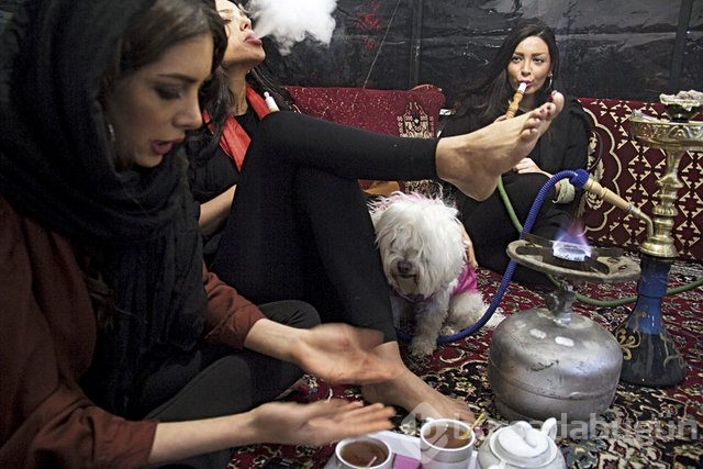 'Zengin Çocukları'na savaş açtı
