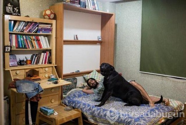 İran'da nasıl flört edilir?
