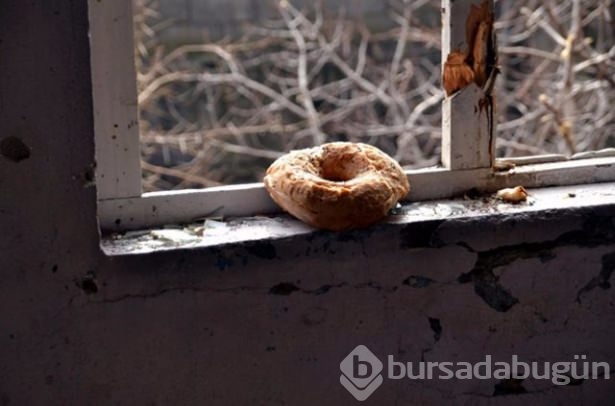 PKK'lılar hücre evindeki mağaradan kaçmış