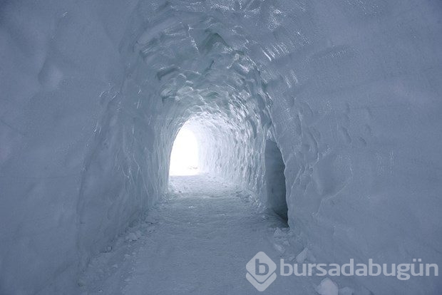 Guinness'e giden yol