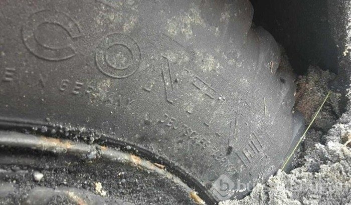 70 yıl sonra ortaya çıktı
