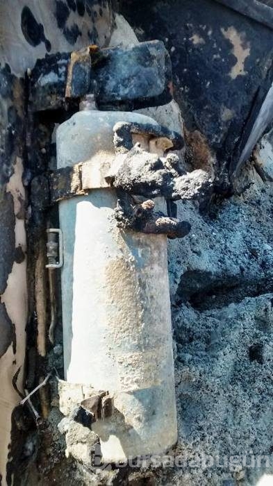 70 yıl sonra ortaya çıktı
