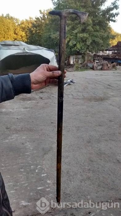 70 yıl sonra ortaya çıktı
