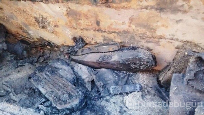 70 yıl sonra ortaya çıktı

