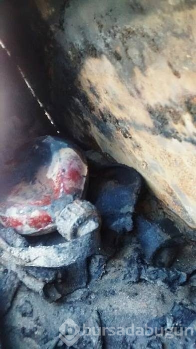 70 yıl sonra ortaya çıktı
