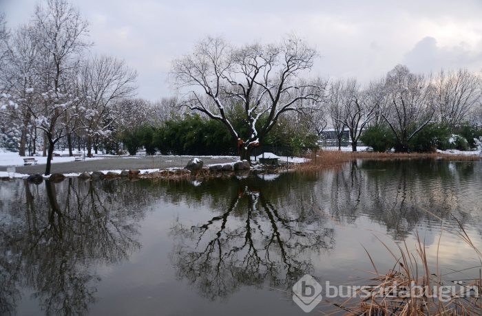 Bursalı fotoğrafçılardan kartpostallık manzaralar!	