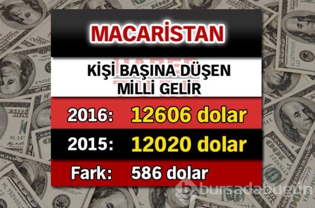 Ülkelerin kişi başına düşen yıllık gelirleri
