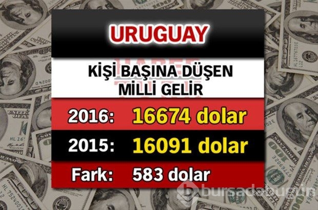 Ülkelerin kişi başına düşen yıllık gelirleri
