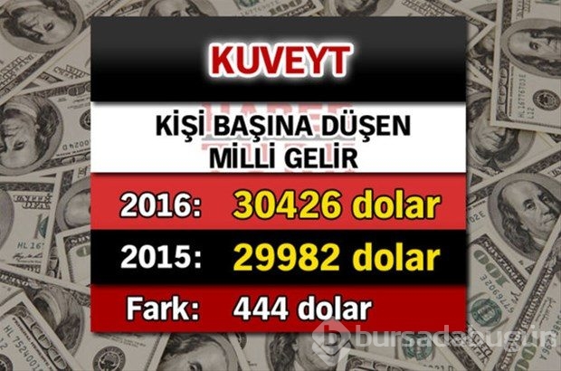 Ülkelerin kişi başına düşen yıllık gelirleri
