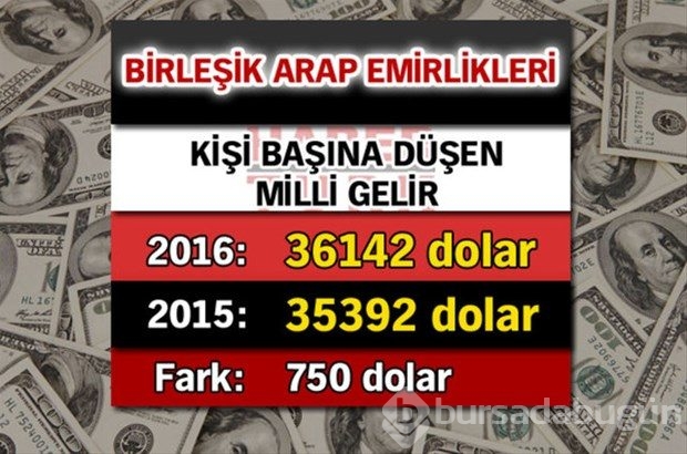 Ülkelerin kişi başına düşen yıllık gelirleri
