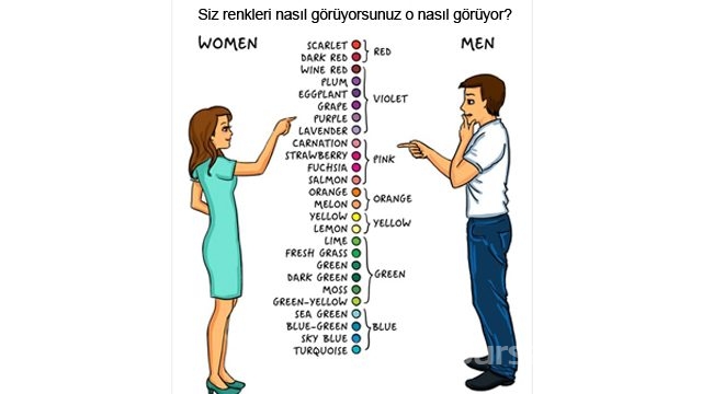 İşte kadın ve erkek arasındaki fark
