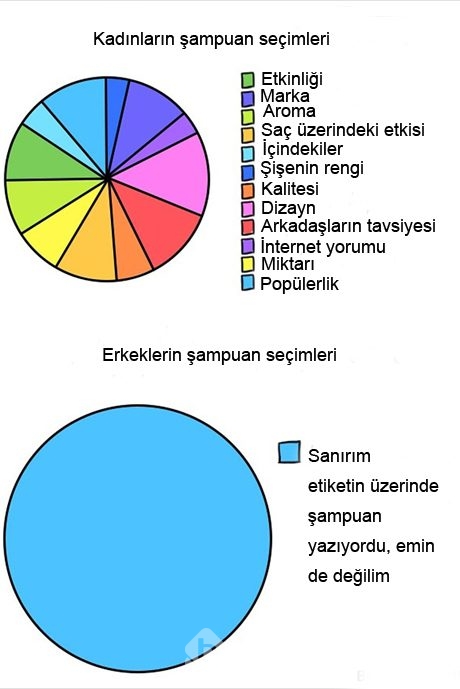 İşte kadın ve erkek arasındaki fark
