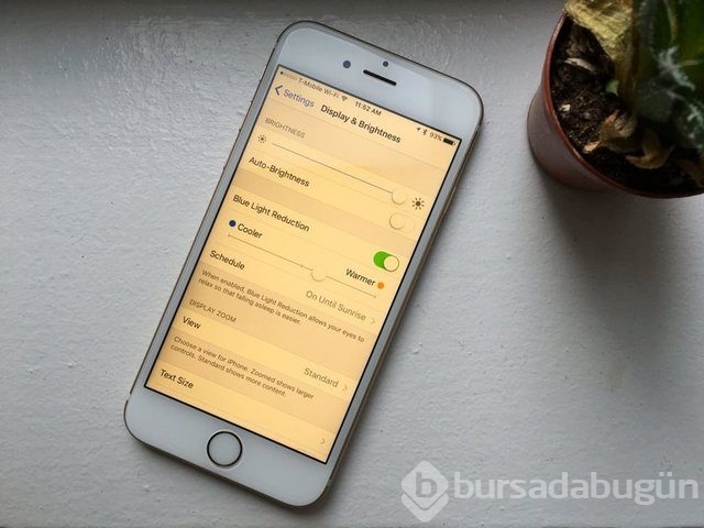 Apple'ın bu sene yapacağı herşey!
