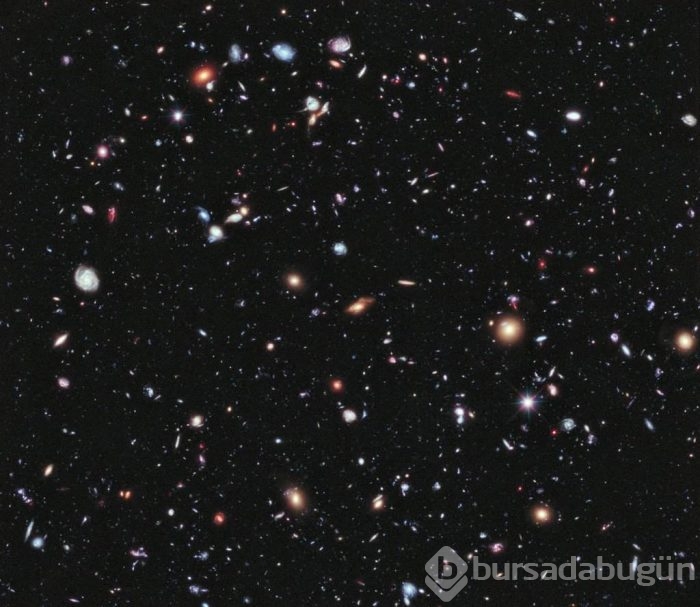Etkileyici 16 fotoğraf ve hikayeleri
