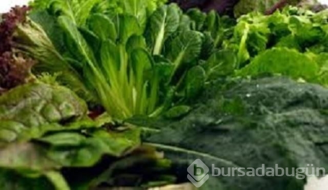 Yeşil yapraklı sebzelerin sırrı