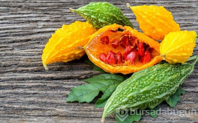 Kudret narı mucizesi