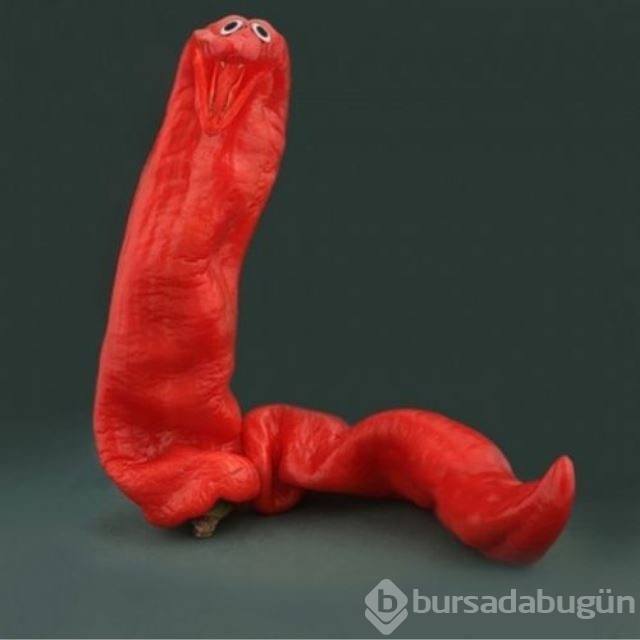 Yiyeceklerin bu hallerine bayılacaksınız!