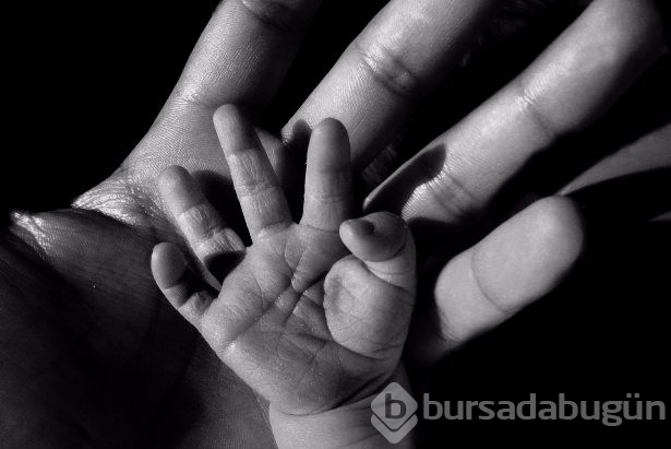 Bu besinlerle babalık şansı artıyor!	
