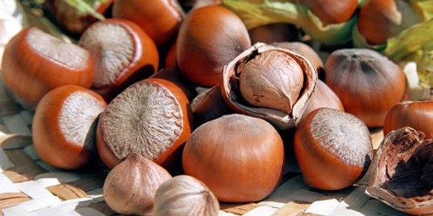 Bu besinlerle babalık şansı artıyor!	