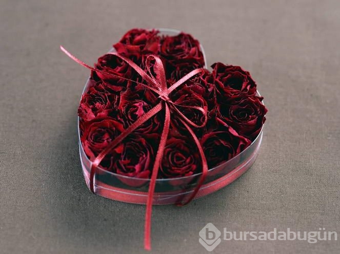 Sevgililer günü hediye fikirleri	
