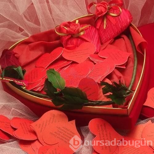 Sevgililer günü hediye fikirleri	