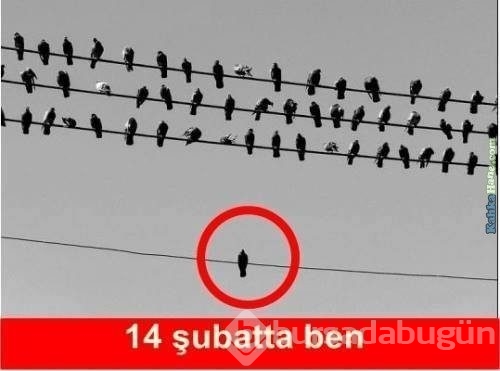 14 Şubat sevgililer günü caps'leri