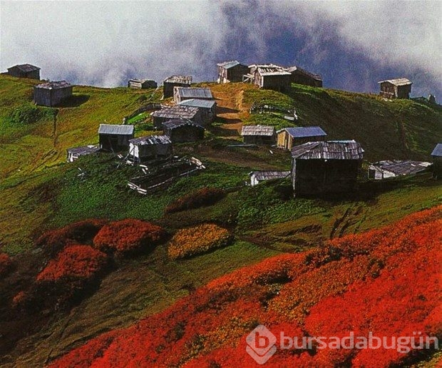 Hangi şehir, hangi takımlı?

