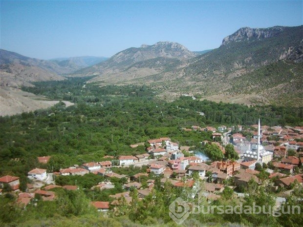 Hangi şehir, hangi takımlı?
