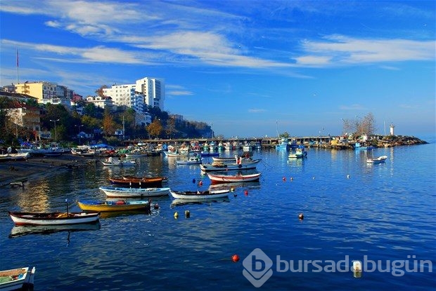 Hangi şehir, hangi takımlı?
