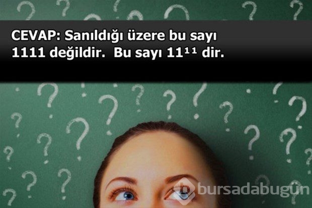Beyin yakan mantık soruları
