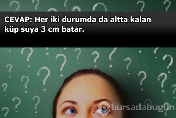 Beyin yakan mantık soruları