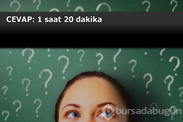 Beyin yakan mantık soruları