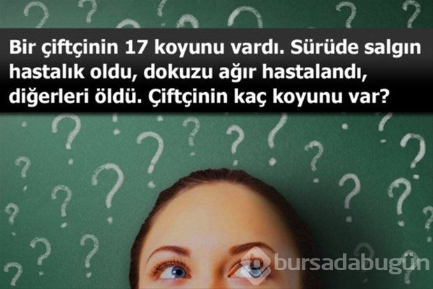 Beyin yakan mantık soruları