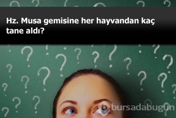 Beyin yakan mantık soruları