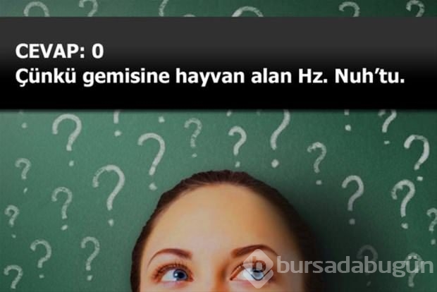 Beyin yakan mantık soruları