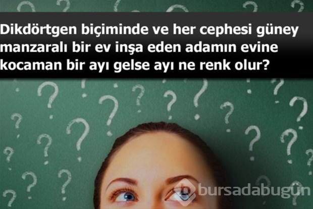 Beyin yakan mantık soruları