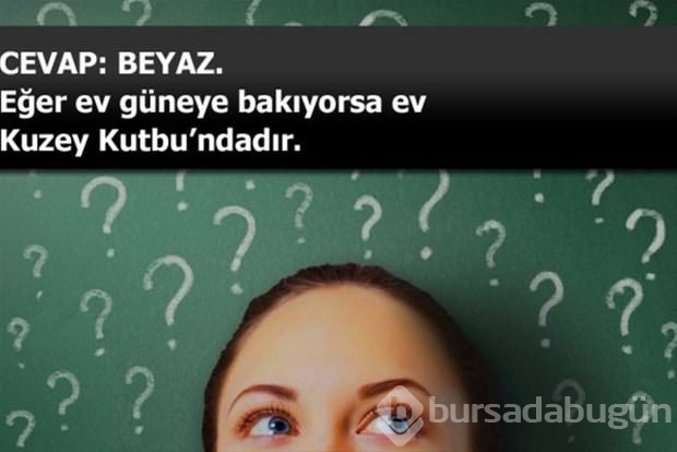 Beyin yakan mantık soruları