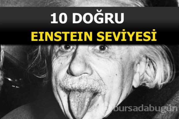 Beyin yakan mantık soruları